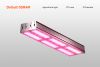 AG-PC 2CH — LED Top Light