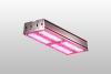AG-PC 2CH — LED Top Light