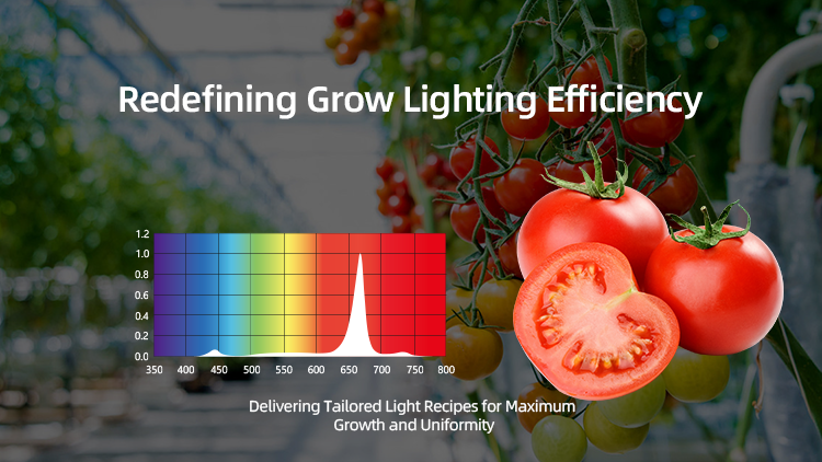 Boost Crop Quality & Value with Custom LED Spectrums for Greenhouses