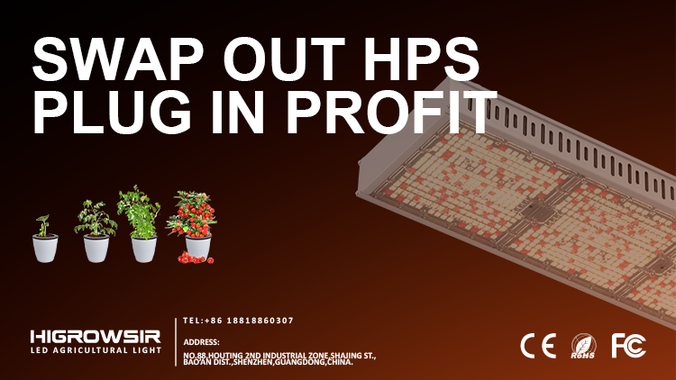Swap Out HPS, Plug In Profit The All-in-One Upgrade for Greenhouses