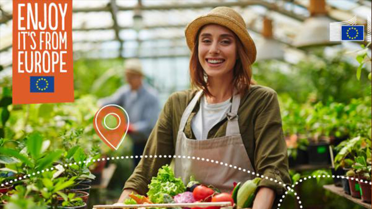 HIGROWSIR Smart Greenhouses Meet New EU CE Energy Standards