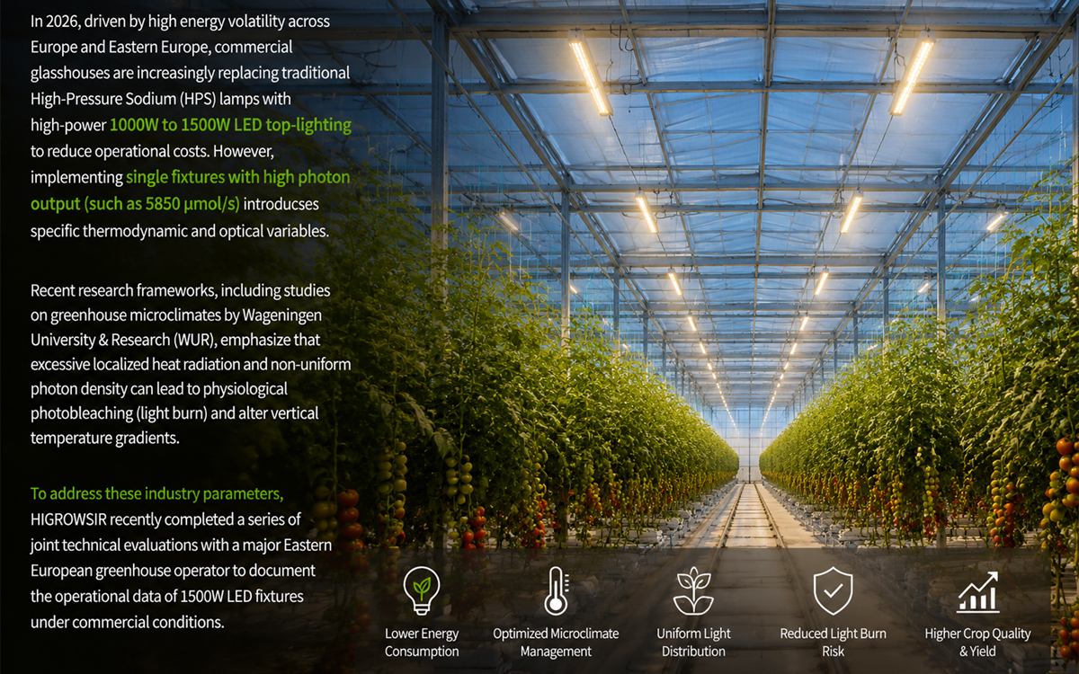 Commercial glasshouse tomato cultivation environment and LED lighting technology market trend analysis