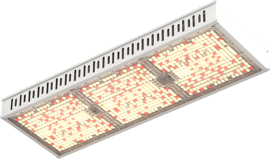 HIGROWSIR G-CT 800 commercial greenhouse LED grow light