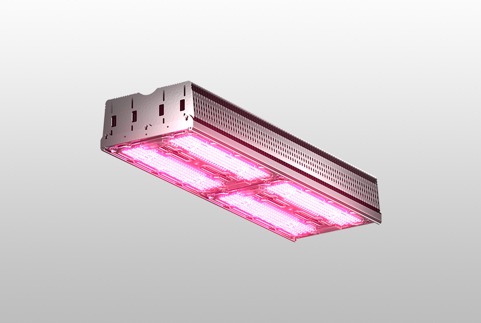 AG-PC 2CH — LED Top Light