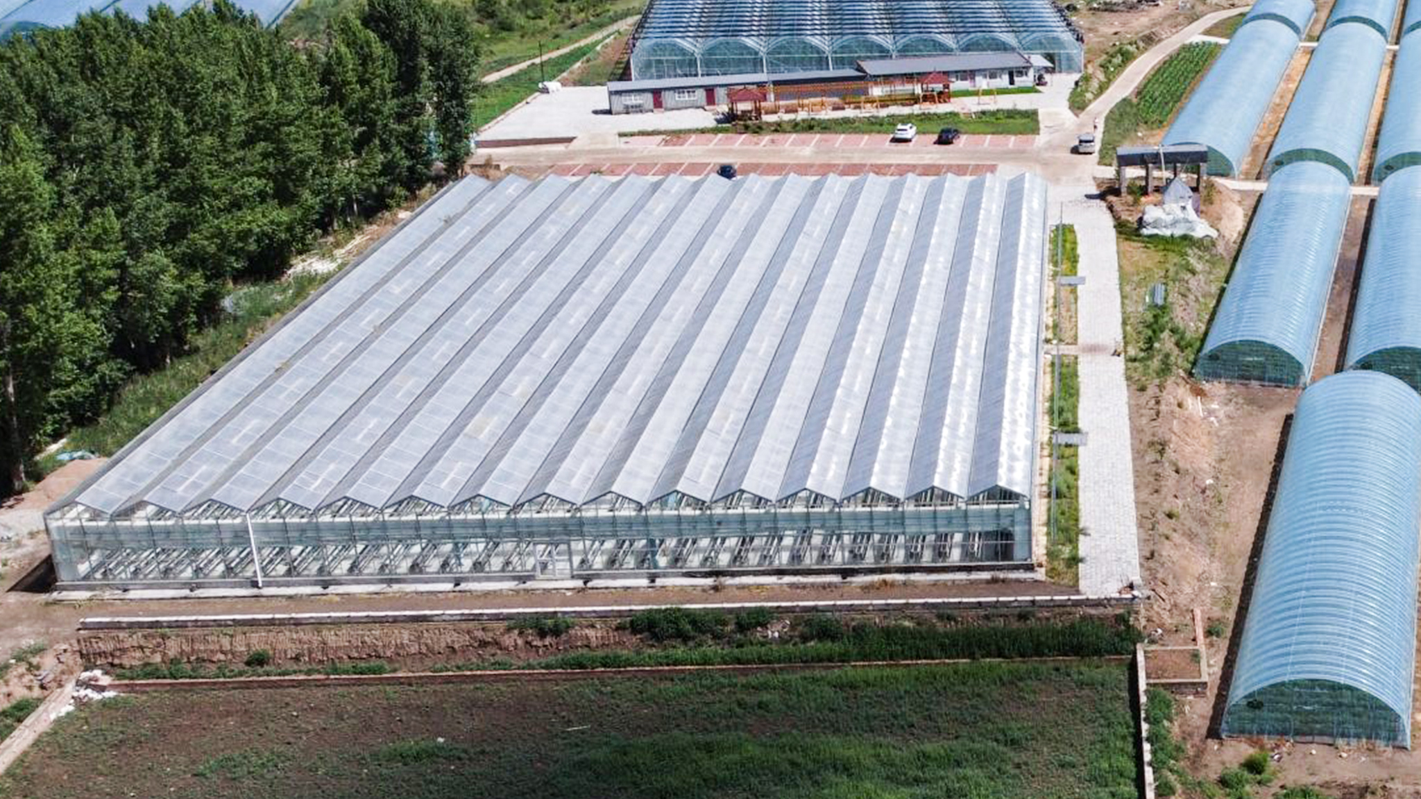 Aerial view of a large commercial greenhouse complex and its surrounding site.