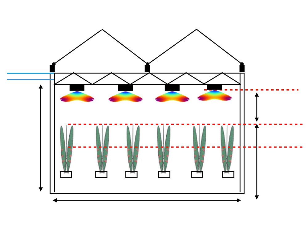 commercial greenhouse model used for lighting plan