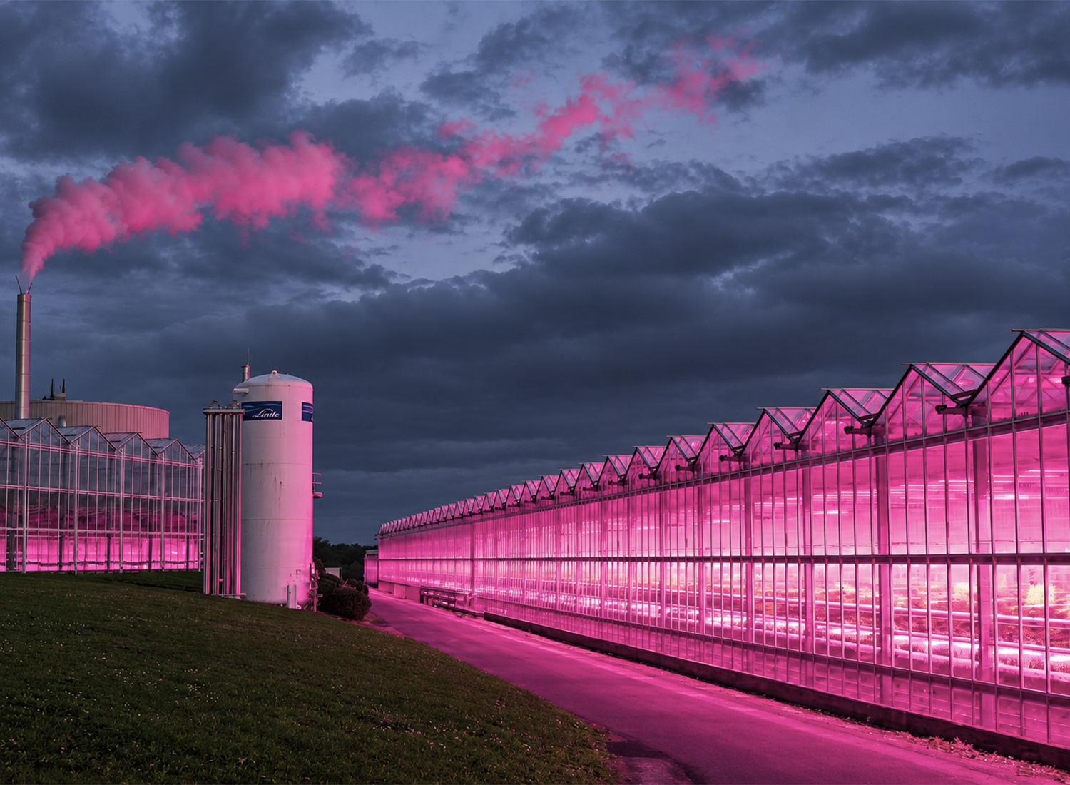 exterior view of a commercial tomato greenhouse with supplemental LED lighting