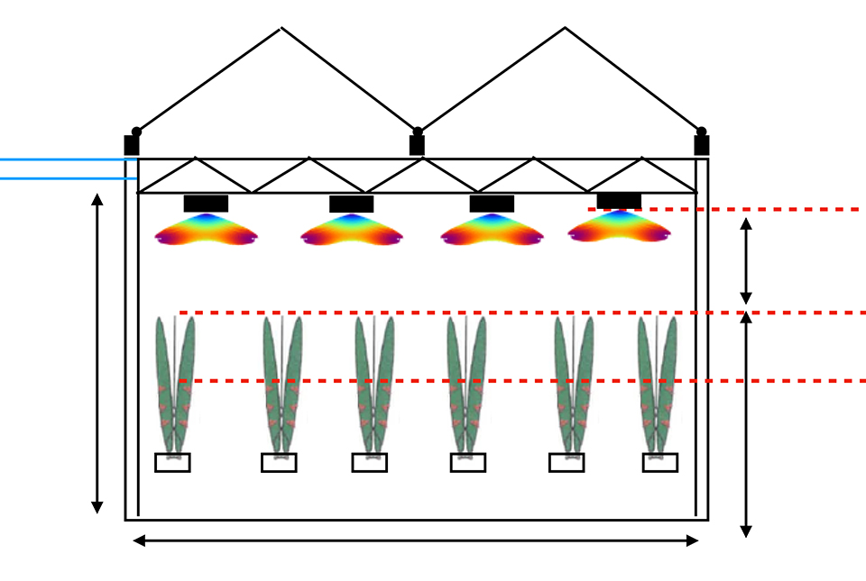 Greenhouse Lighting Plan & DIALux Design